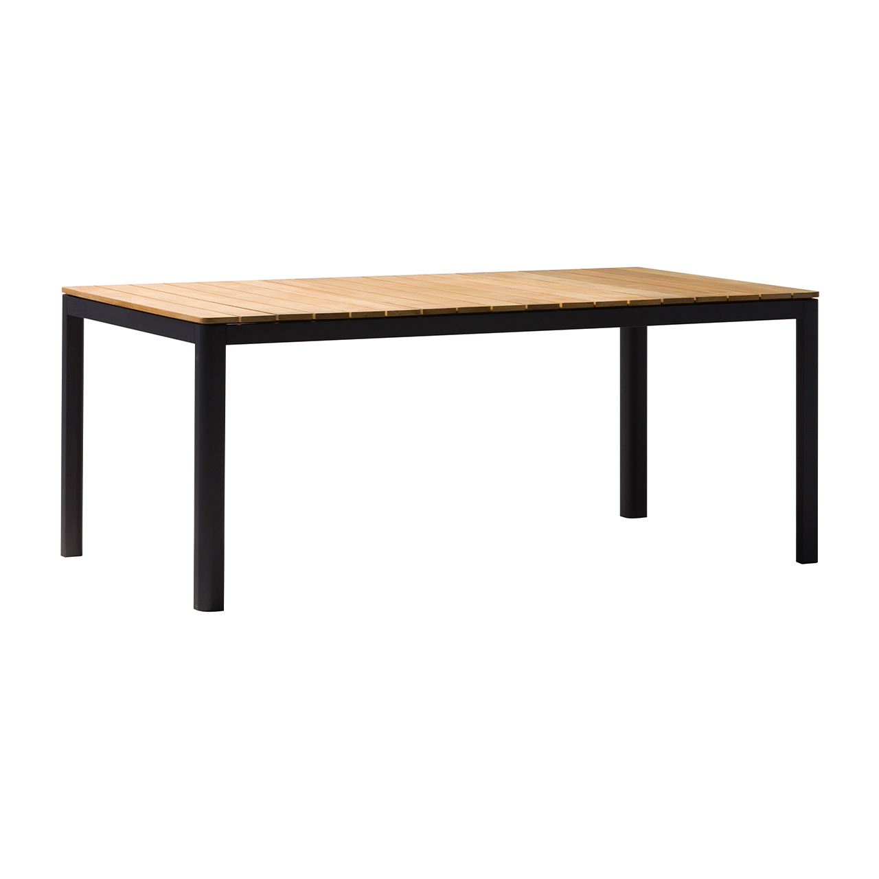 Zebra Tisch Bee 6185