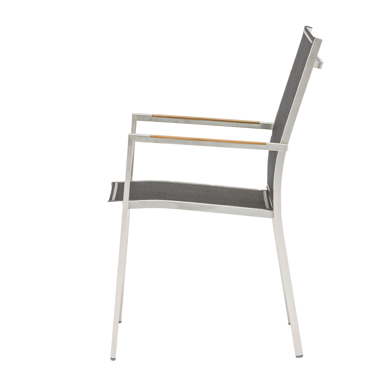 Zebra Sessel One 6203 Zebra Sessel One 6203