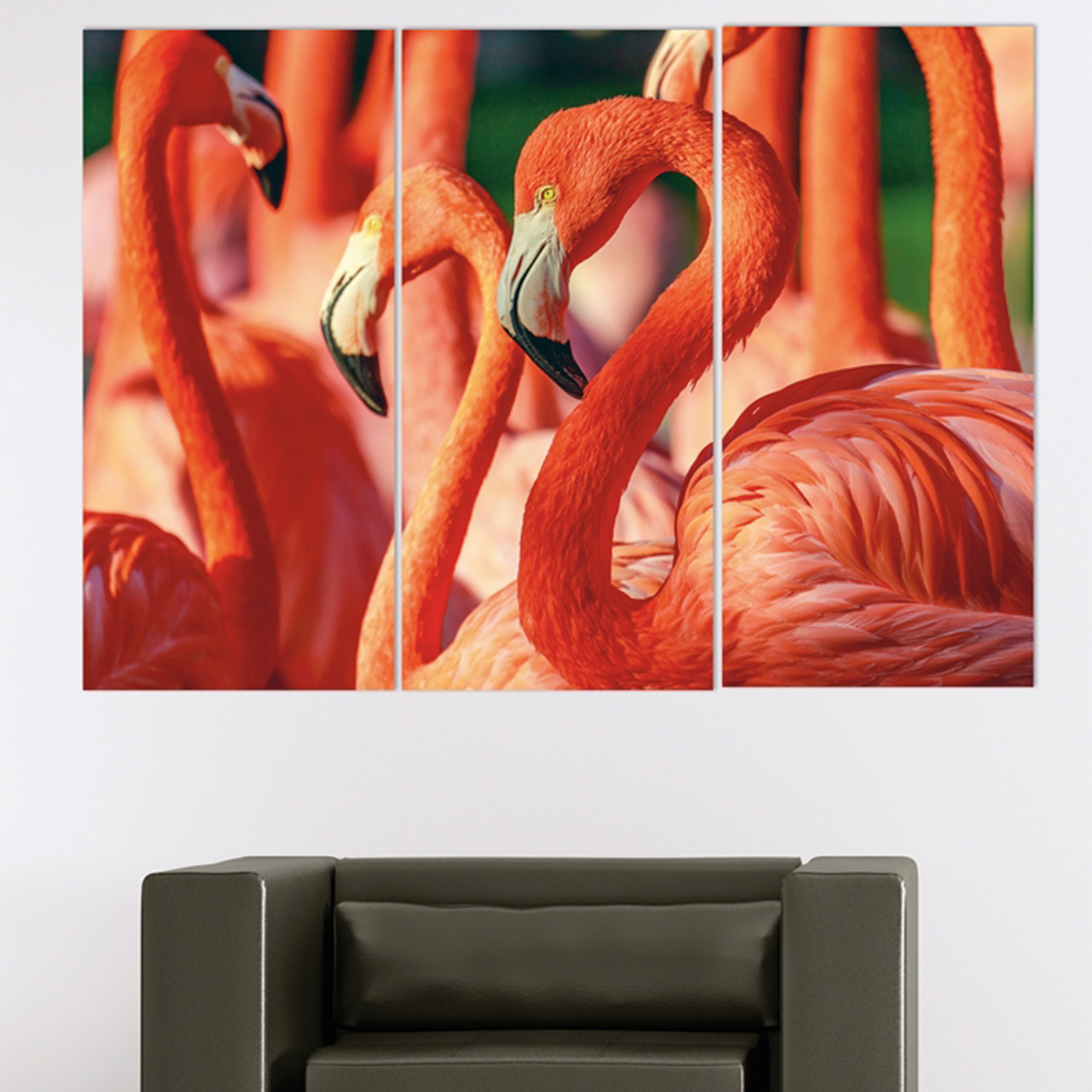 Imageland Bild Flamingos