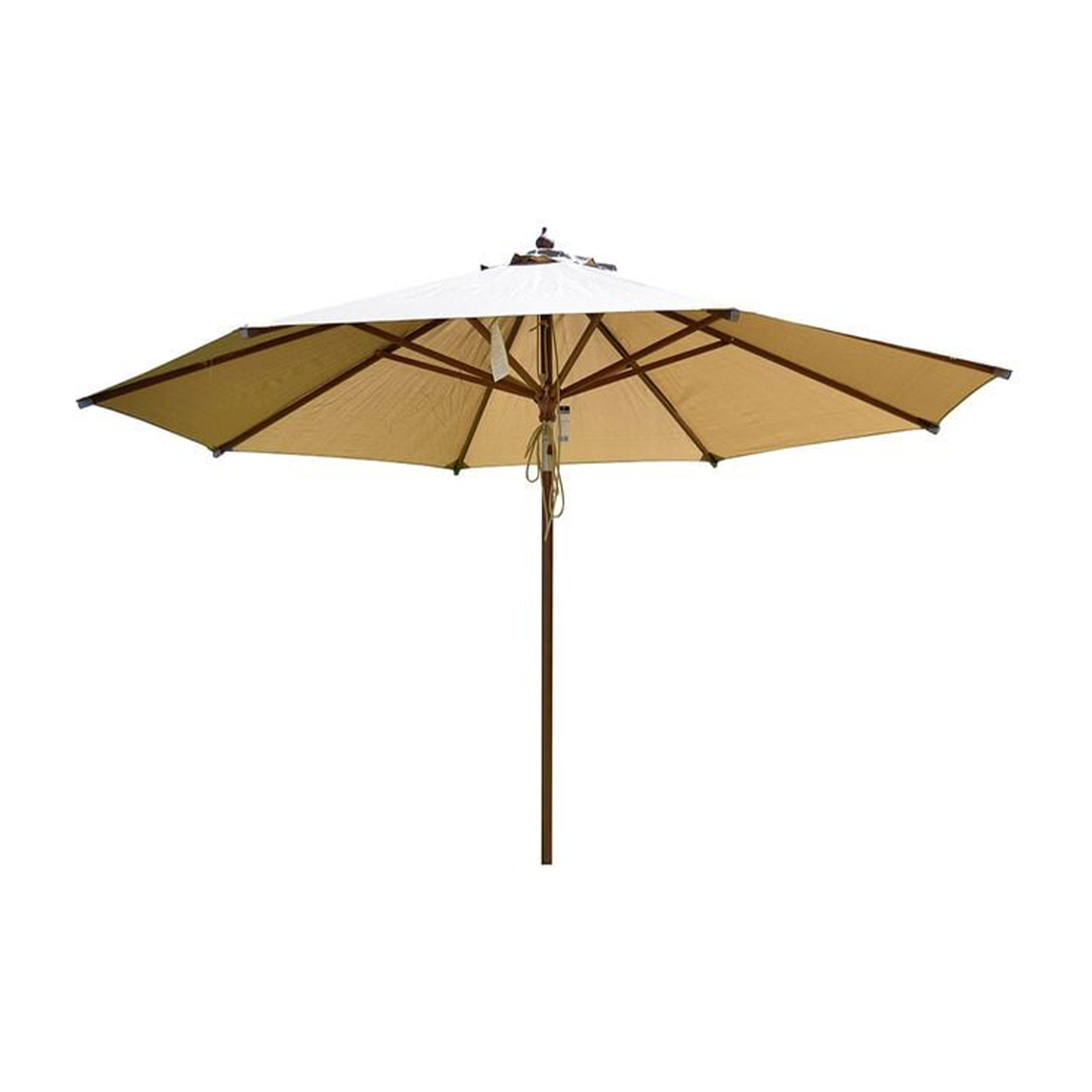 Zebra Sonnenschutz Calypso Novo 3822