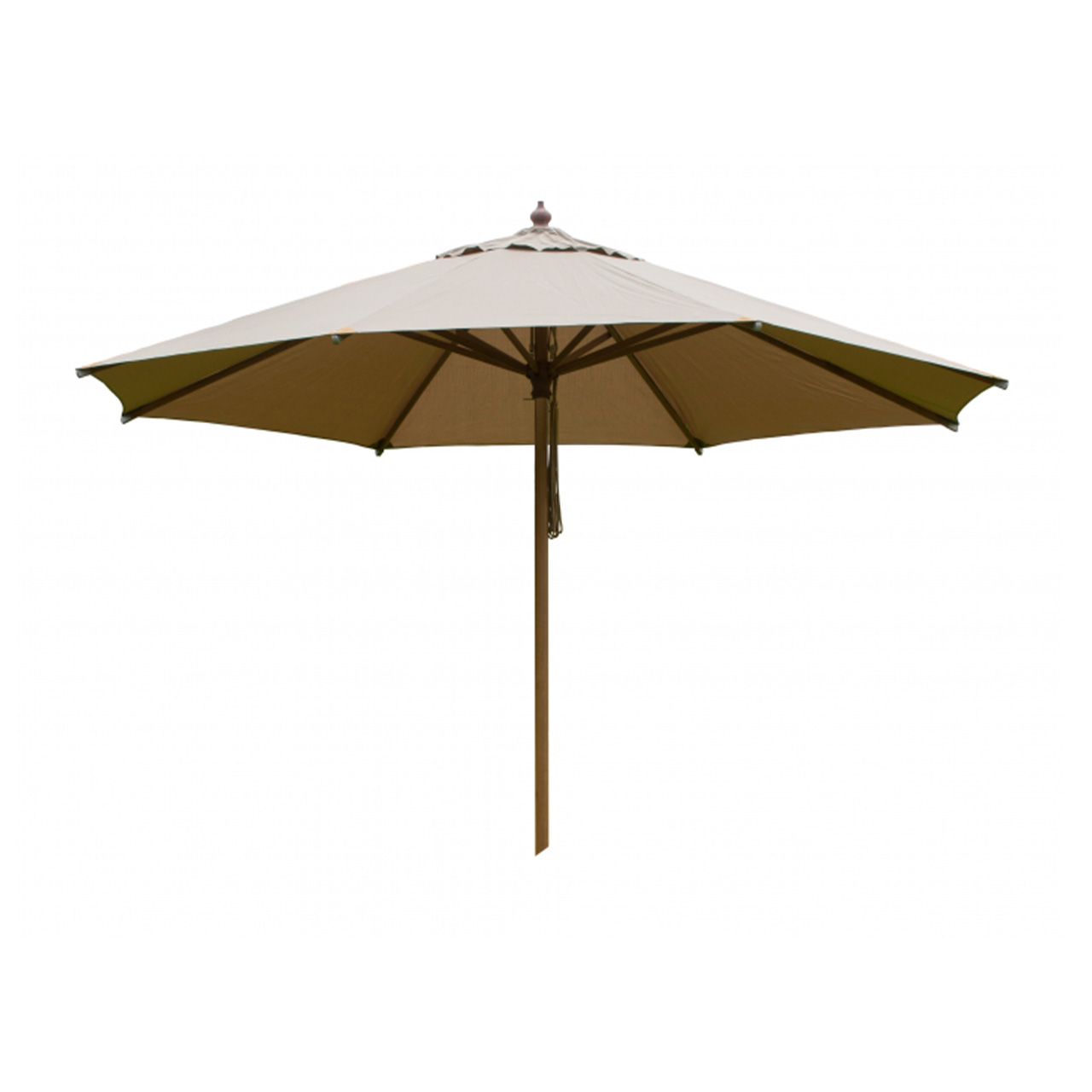 Zebra Sonnenschutz Rumba Novo 2905