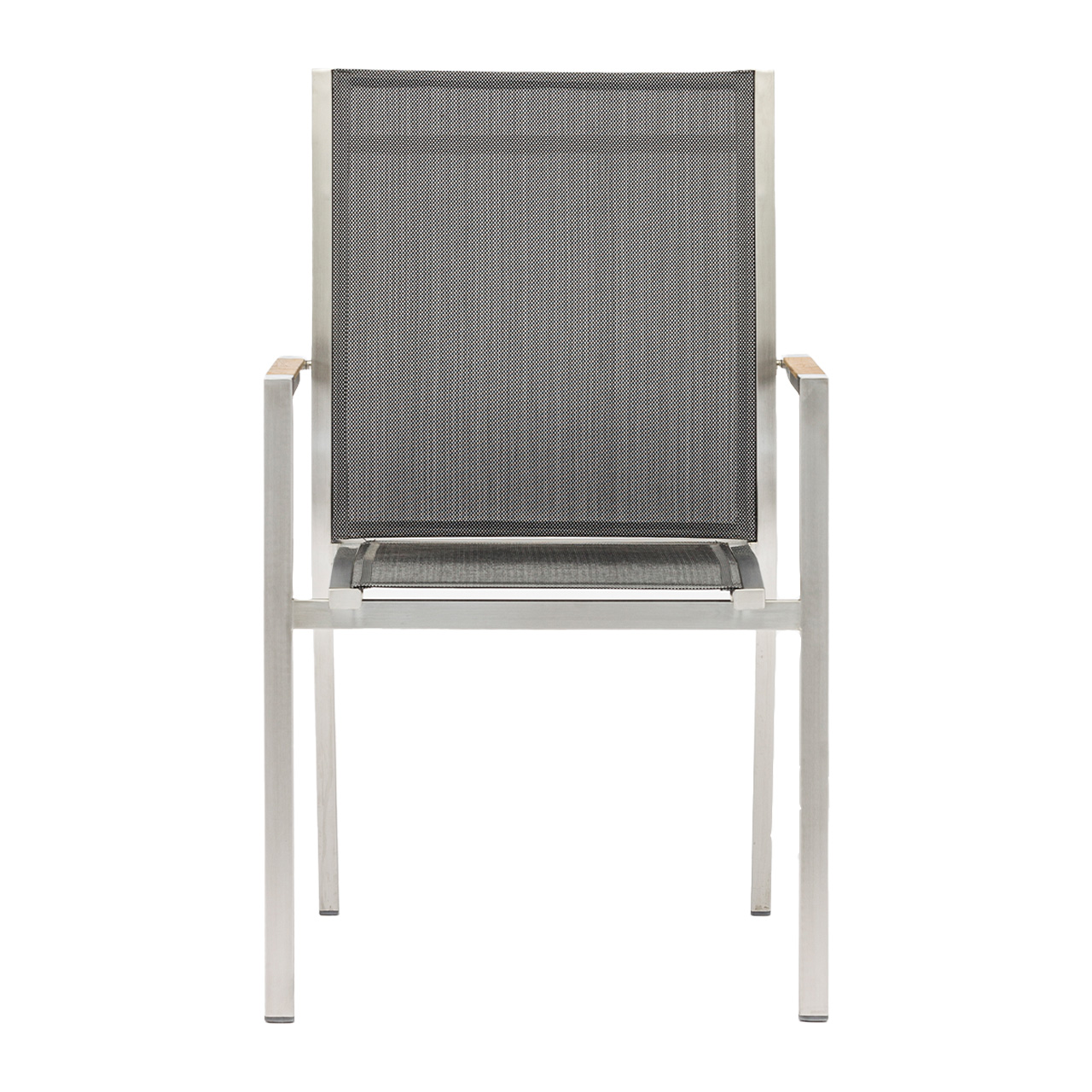 Zebra Sessel One 6203 Zebra Sessel One 6203