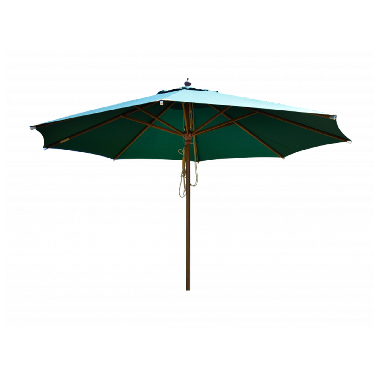 Zebra Sonnenschutz Rumba Novo 2907