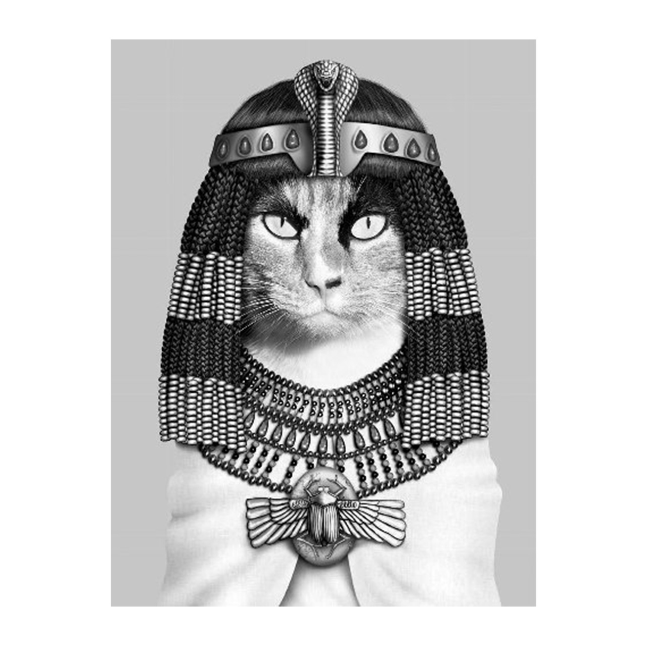 Imageland Bild Ägyptische Katze 